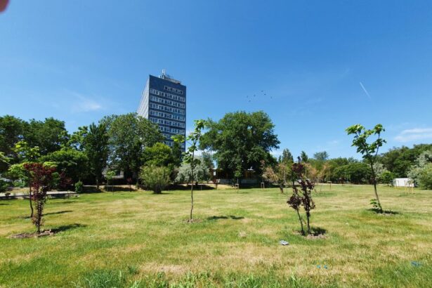 spatiul verde de la perla tot mai aproape de beton cine sunt politcienii care au pus la cale investitia din mamaia 69dc0e8a05f1b