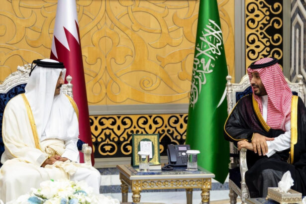 summit extraordinar al tarilor din golf in contextul in care emiratele arabe unite se pregatesc sa paraseasca opec 69f1a06e0421c