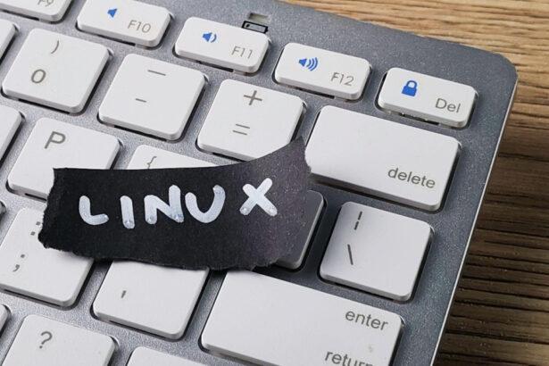 suveranitatea digitala franta vrea sa renunte la windows si sa treaca la linux 69dab7d893d07