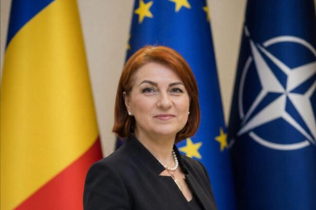 telenovela incheiata la psd constanta mari dragnea a demisionat din functia de subprefect 69f1f0ad6a5b3