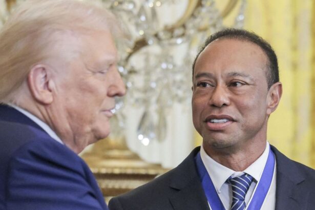 tiger woods l a sunat pe donald trump dupa ce s a rasturnat cu masina in sua cum a vrut sa i impresioneze pe politistii inainte sa fie arestat 69cf7884d300e