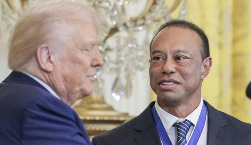 tiger woods l a sunat pe donald trump dupa ce s a rasturnat cu masina in sua cum a vrut sa i impresioneze pe politistii inainte sa fie arestat 69cf7884d300e