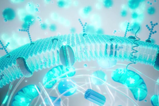 tinerete contra cost cat din industria longevitatii este stiinta 69d354ed74852