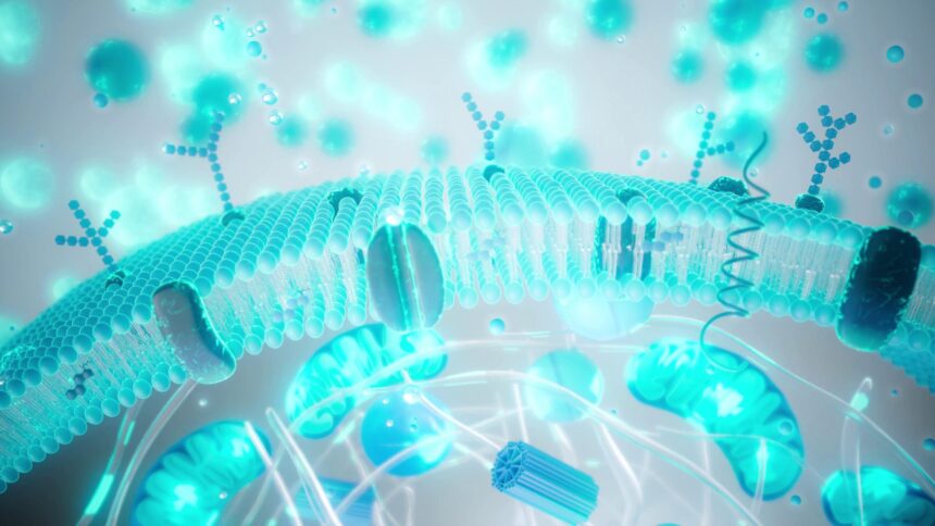 tinerete contra cost cat din industria longevitatii este stiinta 69d354ed74852