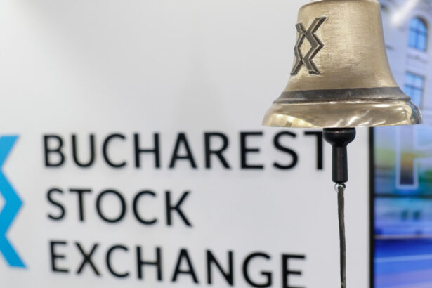 titlurile fidelis in euro suspendate luni de la tranzactionare pe bursa de valori bucuresti ce trebuie sa stie investitorii 69d3873cc00f2