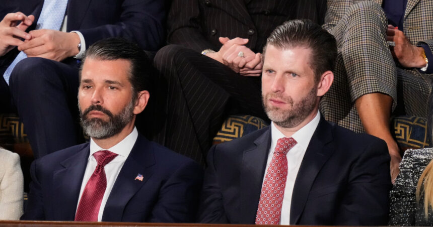 trebuie sa cumpere de la fiii presedintelui o companie a familiei trump vrea sa vanda drone tarilor din orientul mijlociu 69d397434d1d9