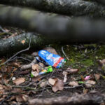 trei persoane printre care si o fetita de 10 luni au murit in germania lovite de un copac in timp ce vanau oua de paste 69d389300cff9