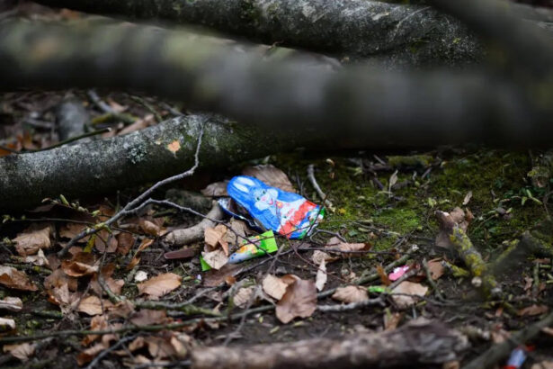 trei persoane printre care si o fetita de 10 luni au murit in germania lovite de un copac in timp ce vanau oua de paste 69d389300cff9