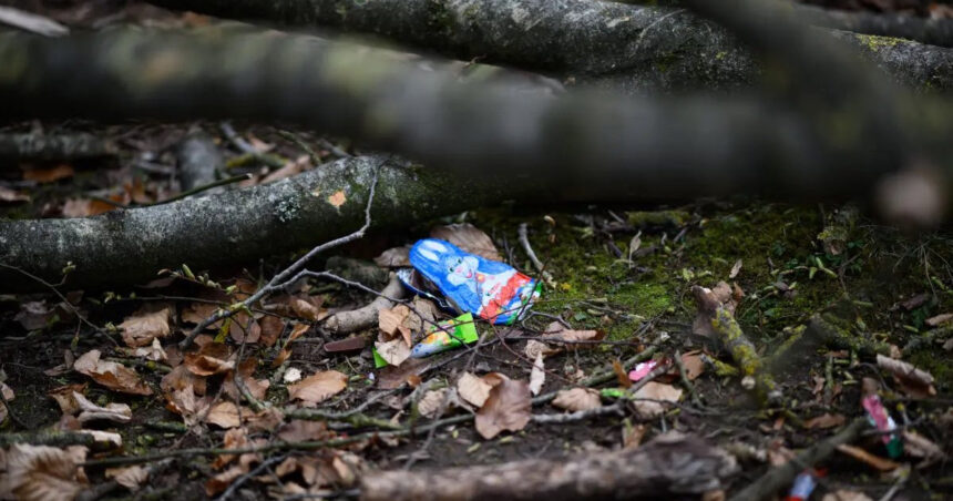 trei persoane printre care si o fetita de 10 luni au murit in germania lovite de un copac in timp ce vanau oua de paste 69d389300cff9