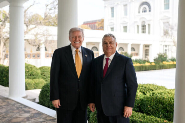 trump intervine in campania din ungaria apel catre maghiari sa voteze pentru aliatul orban un lider puternic si influent 69d8a505c937f