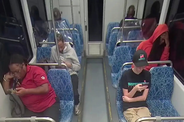 uciderea ucrainencei irina zarutka suspectul principal a fost declarat inapt pentru a fi judecat cazul a starnit dezbateri in sua 69d741ec5c8e6