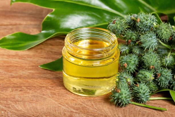 uleiul de ricin ce beneficii sunt cu adevarat sustinute de stiinta 69e23ef0284ca