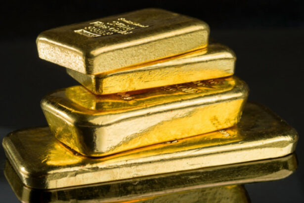 un angajat al unei primarii din germania a descoperit 10 lingouri de aur in timp ce tundea iarba cine va pastra comoara 69ea6a395ca71