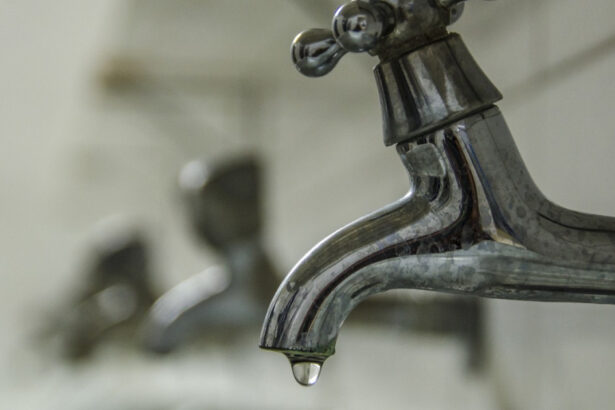 un cuplu polonez acuzat ca a inselat cea mai mare centrala electrica pe carbune din europa cu circa 5 milioane de euro apa chioara 69ccdc93b9bc6