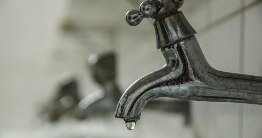 un cuplu polonez acuzat ca a inselat cea mai mare centrala electrica pe carbune din europa cu circa 5 milioane de euro apa chioara 69ccdc93b9bc6