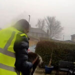 un roman din marea britanie risca sa stea cinci ani in inchisoare pentru ca a furat o pisica 69cce7536f2db