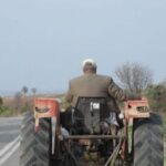 un tractorist baut s a proptit cu tractorul intr un copac de pe marginea strazii intre negru voda si comana 69e74bd310dfe