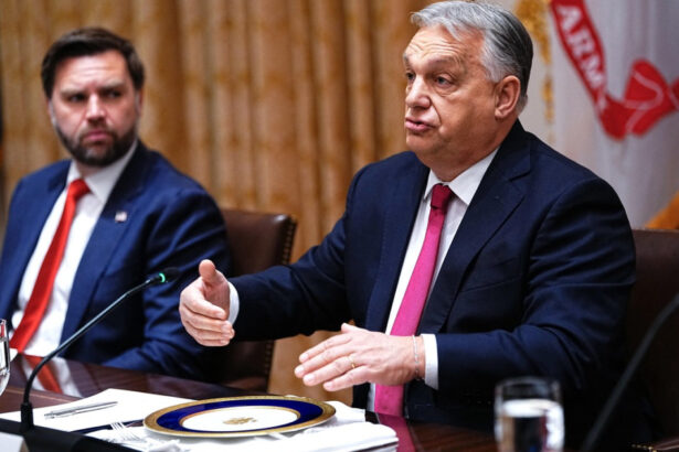 vicepresedintele american jd vance merge in ungaria pentru a l sustine pe viktor orban la alegerile parlamentare 69cf4afd473a7