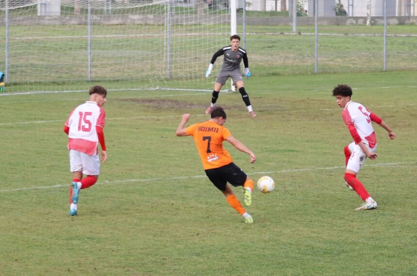 victorie soimii din cernavoda au dat recital pe terenul echipei secunde de la dinamo bucuresti 69ebb23618f8a