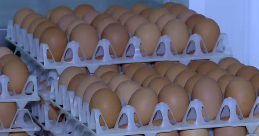 video alerta sanitara in prag de sarbatori 15 milioane de oua care ar fi contaminate cu salmonella retrase de la vanzare 69da2bb553573