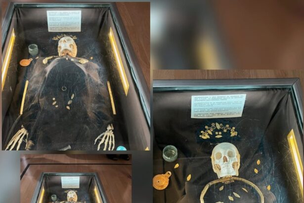 video arheologul ana hamat despre comoara doamnei de pe ferdinand cercei din aur de o raritate exceptionala descoperiti in constanta 69e7fc9032129