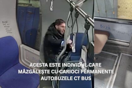 video buza interlopul vandalul din autobuze din constanta 69cf90cfd68c0