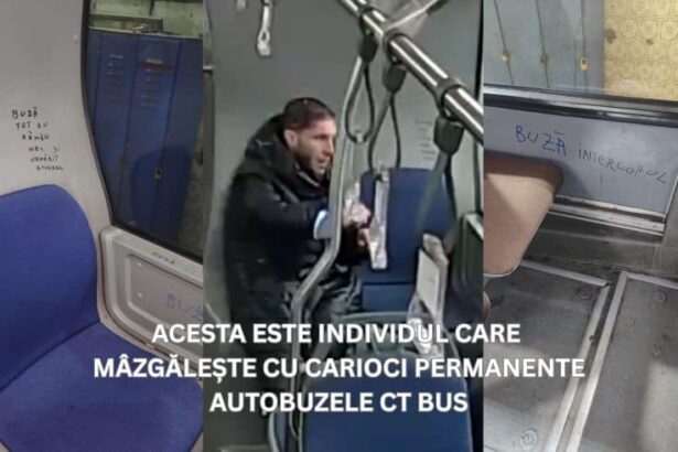 video buza interlopul vandalul din autobuze din constanta 69cf90cfd68c0