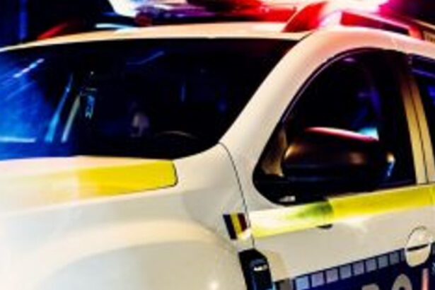 video copil de 14 ani prins la volan pe dn66 cu tatal in dreapta au incercat sa fuga de politie si au ramas in pana 69d765a6cc394