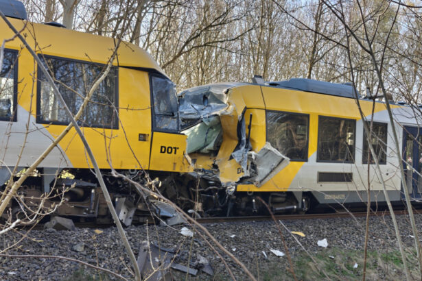 video doi romani au fost implicati in accidentul feroviar din danemarca anunta oana toiu 69eb0c33a3041