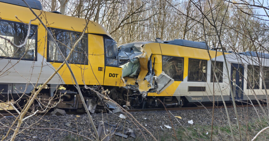 video doi romani au fost implicati in accidentul feroviar din danemarca anunta oana toiu 69eb0c33a3041