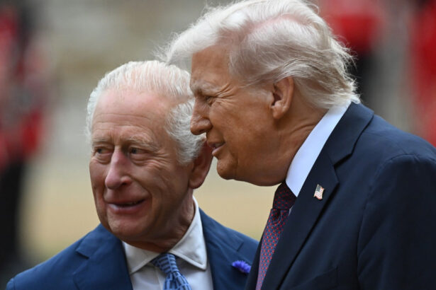 video donald trump ironizat de regele charles intr un discurs la casa alba daca nu am fi fost noi ati fi vorbit franceza 69f21af481681