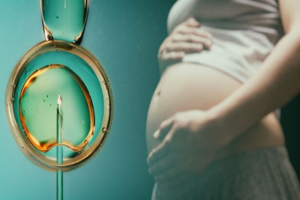 video guvernul a aprobat programul fertilizare in vitro pentru 2026 2030 cine poate beneficia de voucherele de 15 000 de lei 69ea240398ea5