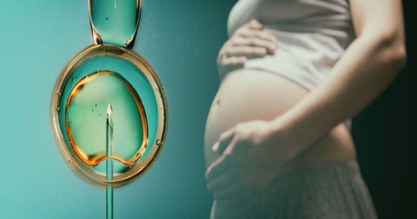 video guvernul a aprobat programul fertilizare in vitro pentru 2026 2030 cine poate beneficia de voucherele de 15 000 de lei 69ea240398ea5