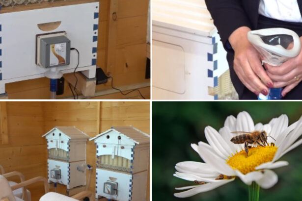 video metoda naturala inovatoare terapia cu aerul din stup judetele din romania unde oamenii pot face apiterapie e foarte benefica 69e474c8c78eb