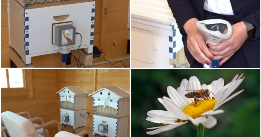 video metoda naturala inovatoare terapia cu aerul din stup judetele din romania unde oamenii pot face apiterapie e foarte benefica 69e474c8c78eb