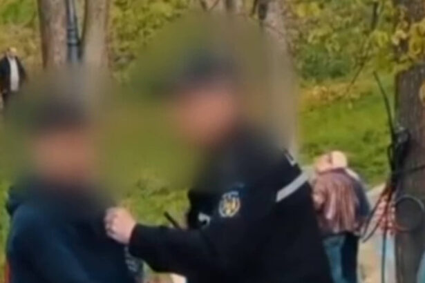 video motivul pentru care un politist local din craiova a bruscat un copil in parc agentul este cercetat disciplinar 69de66982fbde