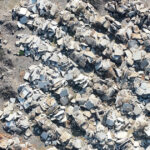 video o primarie din arad a fost amendata cu 70 000 de lei dupa ce garda de mediu a gasit o groapa de gunoi ilegala cu ajutorul unei drone 69eb44b4d0a08