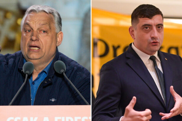 video peter magyar il acuza pe orban ca i a tradat pe maghiarii din transilvania l a sustinut pe george simion 69dcf882e01ec