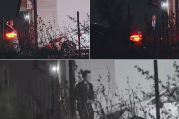 video scandalul pozelor publicate de elena lasconi in campania din 2025 perchezitii informatice facute de procurorii diicot 69d64fdce8976