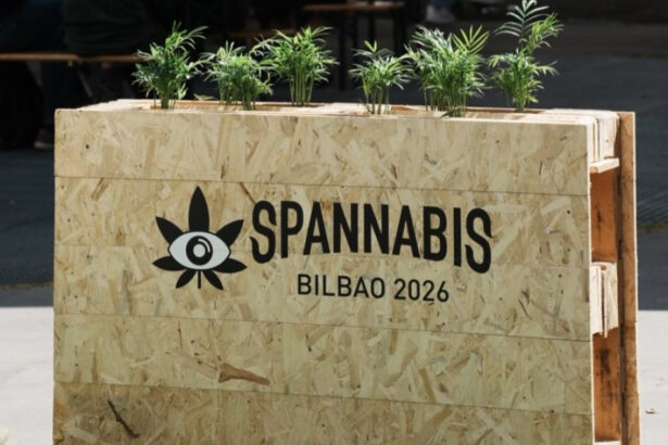 video spannabis cel mai mare targ de canabis din europa unde are loc in 2026 69e34d66f2f1b