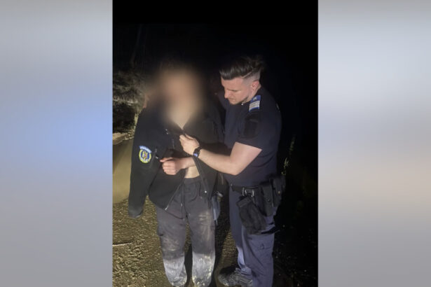 video tanar salvat de jandarmi dupa ce a fost fugarit de un urs el si a aruncat lucrurile si motocicleta pentru a scapa de animal 69e394103f304