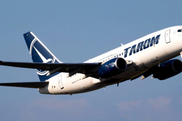 video tarom in afara graficului de restructurare vicepremierul oana gheorghiu compania pierde bani de 10 ani 69e0d50ac9af4