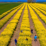 video tensiunile dintre sua si iran agita pietele agricole cezar gheorghe expert romania nu risca penurie alimentara 69db89bfbed60