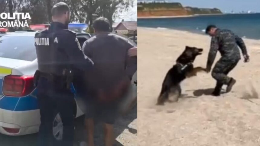 video un individ a talharit o batrana de 90 de ani la chirnogeni a fost prins cu ajutorul unui caine politist 69de4a7fc37b8