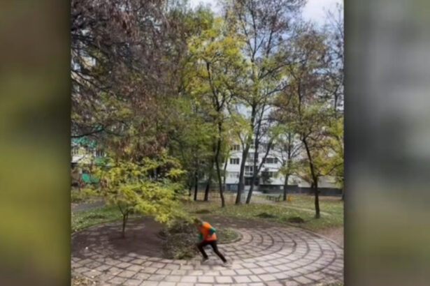 video un roman din vaslui a devenit un model de bun simt si harnicie in bulgaria de ce petrece acesta ore intregi sa curete parcuri si alei 69ee3be9704c9