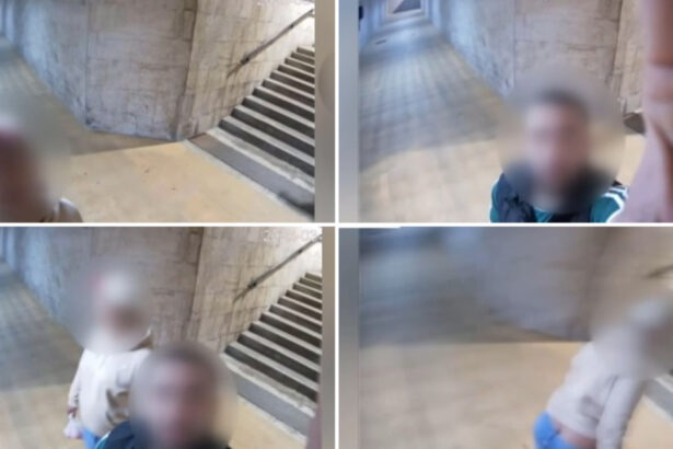 video vandalism filmat si amendat cu mii de lei cum s au dat singuri de gol doi tineri teribilisti din oradea mi se pare de prost gust 69d1ee0b3ff04