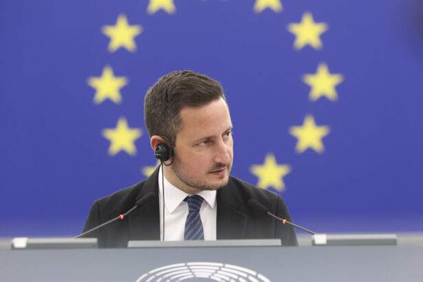 video vicepresedintele parlamentului european nicu stefanuta apel la peter magyar trebuie urgent sa deblocheze fondurile ue 69dd0ddb77fcf