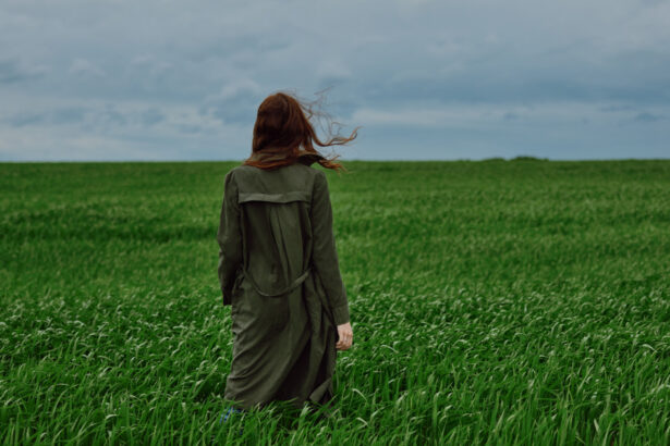 video vreme capricioasa in urmatoarele doua saptamani 21 de grade dar lapovita si ninsoare la munte doua anotimpuri in acelasi timp 69dcce6ab1e3a