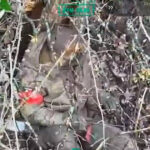 video zeci de soldati rusi ucisi in timpul unei tentative de infiltrare prin conducte de gaz in sumi filmarile brigazii ucrainene 69de660baa1b6