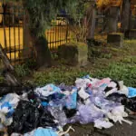 videofoto deseuri medicale aruncate in parcul cismigiu o clinica stomatologica din bucuresti a fost amendata cu 70 000 de lei 69d3cc2e01476